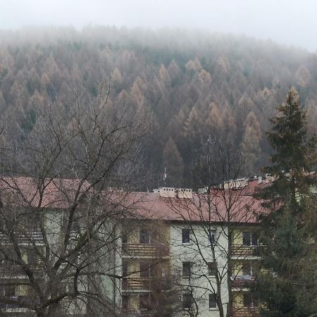 Apartament Wataha Ustrzyki Dolne Extérieur photo